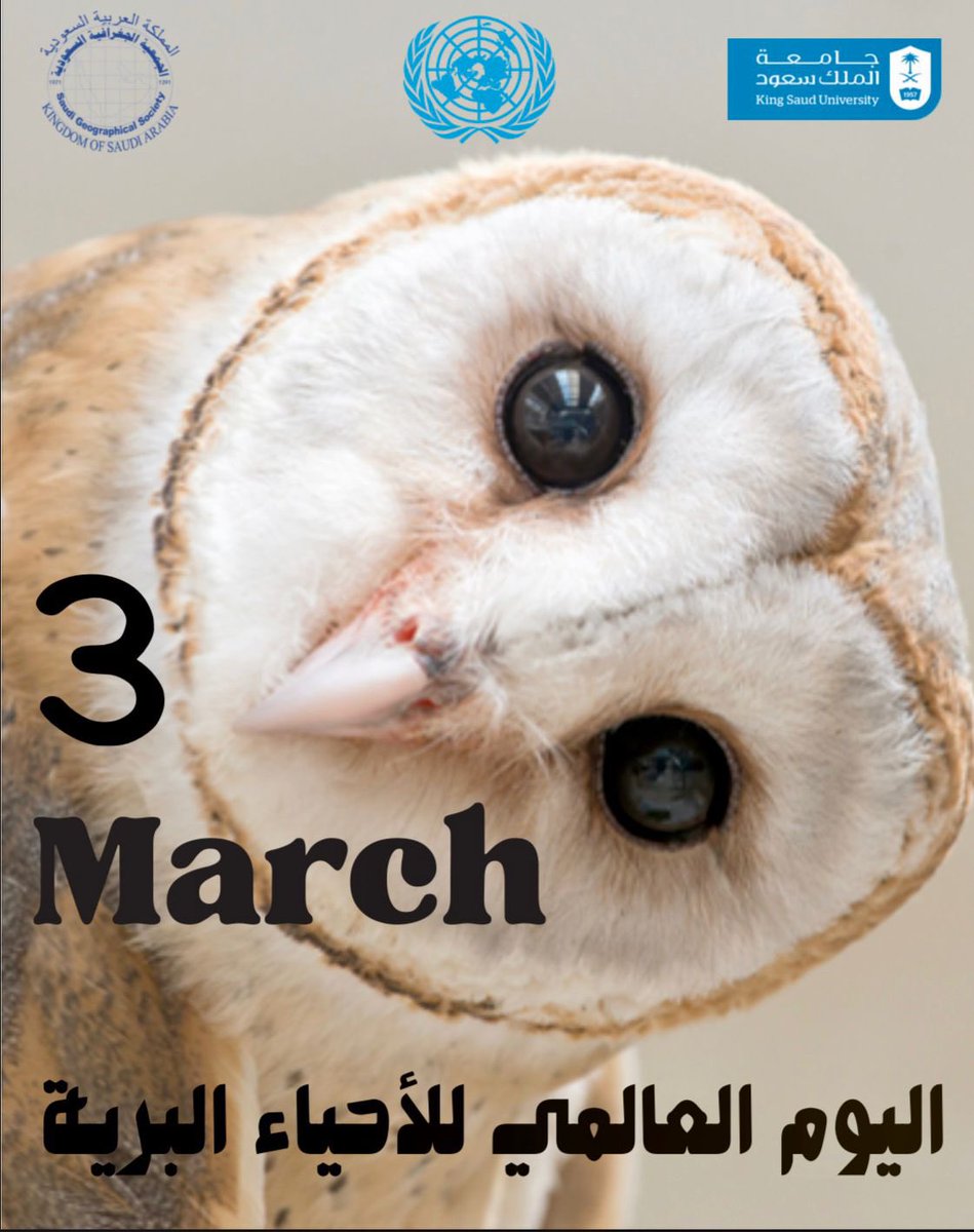 الجمعية الجغرافية السعودية SGS tweet media