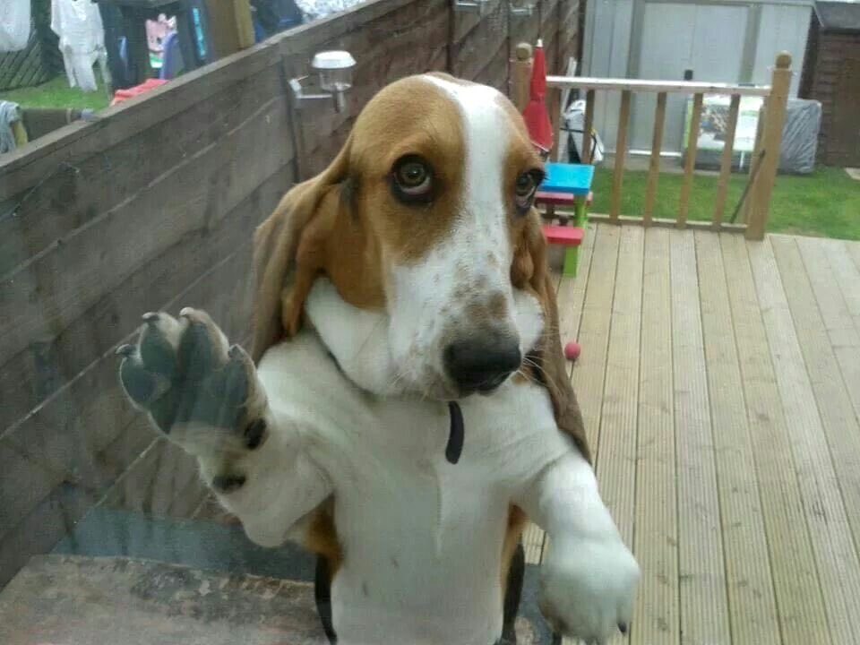 Norry🧸🧃 tweet media