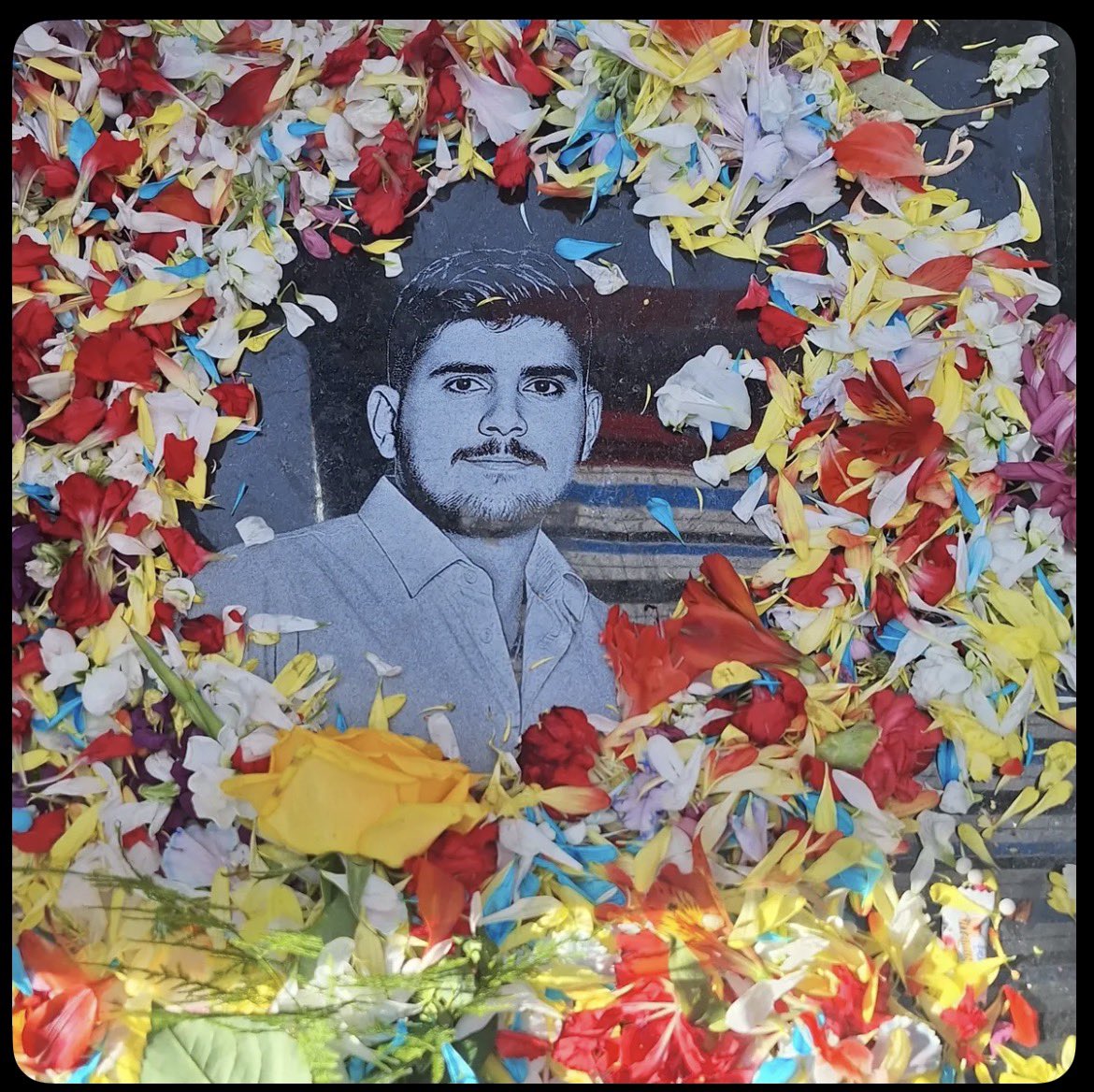 Farnaz 🇮🇷 tweet media