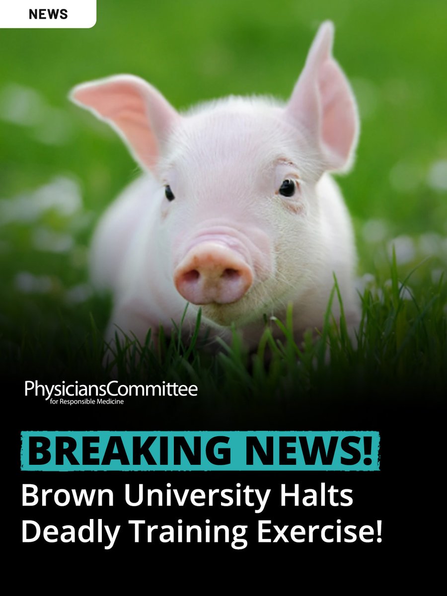 Physicians Committee tweet media