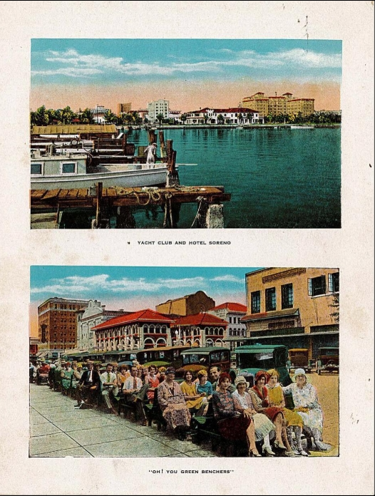 State Library of FL tweet media