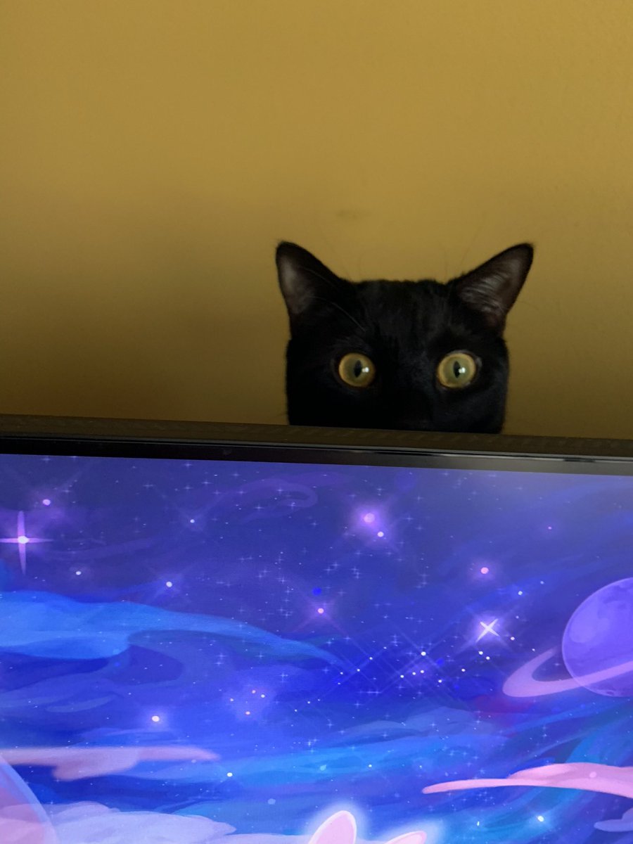 Mimikyu 🕊️ tweet media