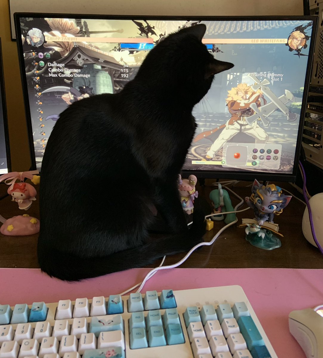 Mimikyu 🕊️ tweet media