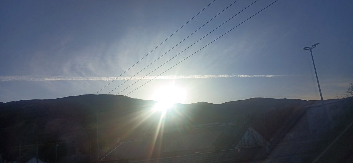 Aurora Cesari tweet media