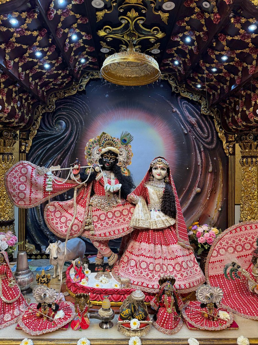 Radhika Ras 🪷 tweet media