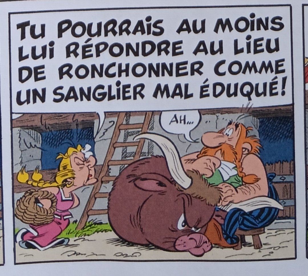 LeJournalix's tweet photo. Une tête de cochon découverte devant le domicile de Christian Estrosi 🐷 #LIrisBlanc https://t.co/7sSgeJfaGu