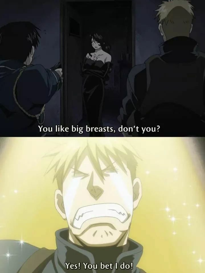 daily roy tweet media