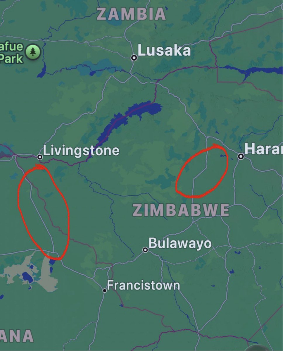 Mlamuleli Andy Moyo tweet media