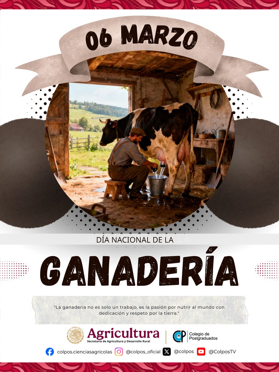 Colegio de Postgraduados tweet media