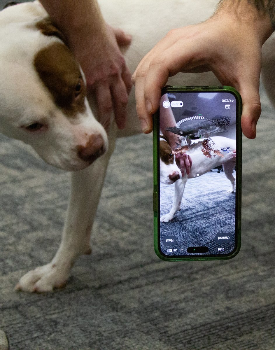 Molinaroli Coll. of Eng. & Computing tweet media