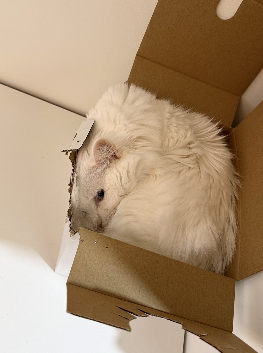 Lifander tweet media