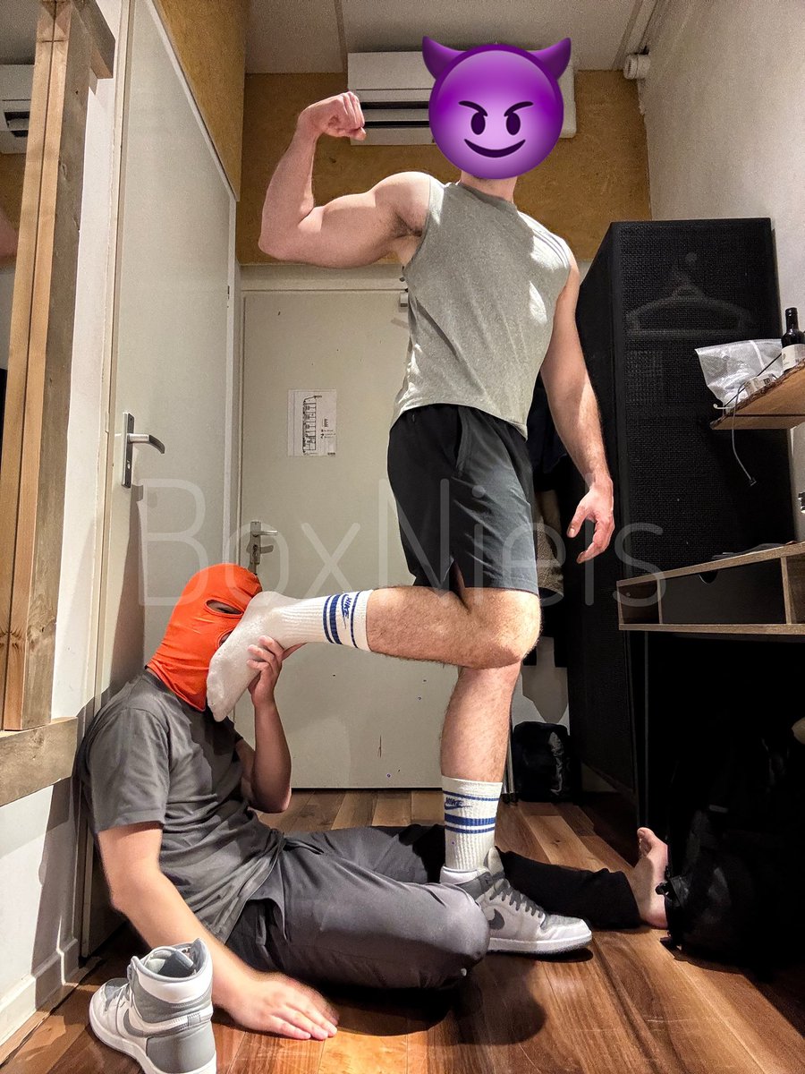 BoxNiels tweet media