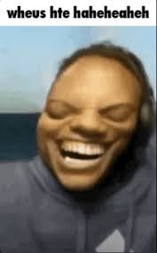 AVX Kayrex tweet media