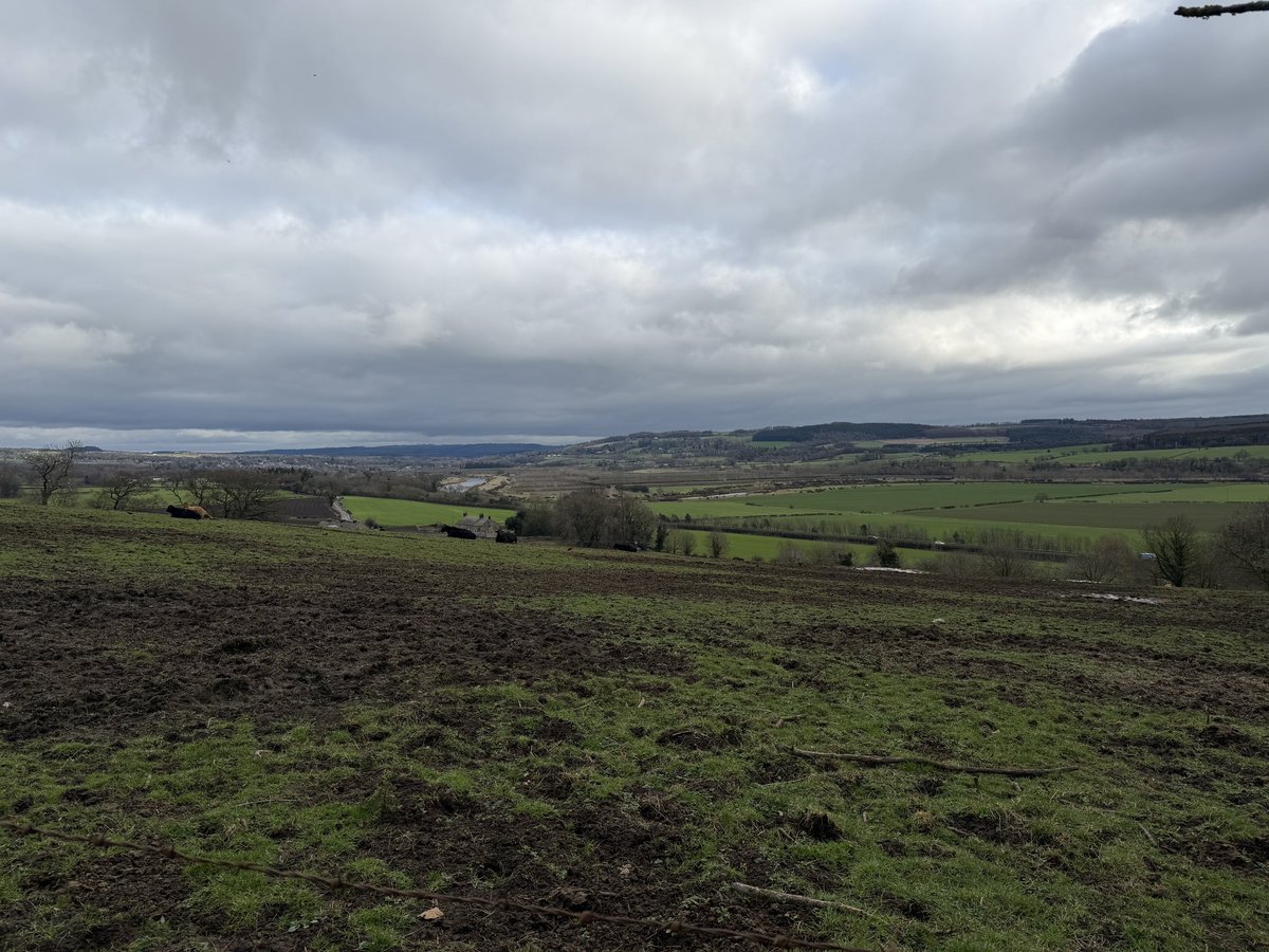 Sebastian Payne tweet media