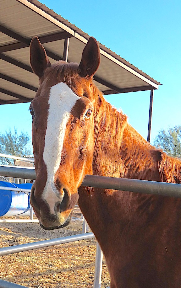 AftertheFinishLine tweet media