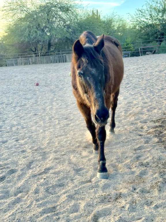 AftertheFinishLine tweet media