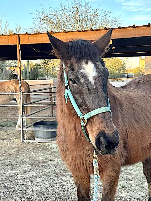 AftertheFinishLine tweet media