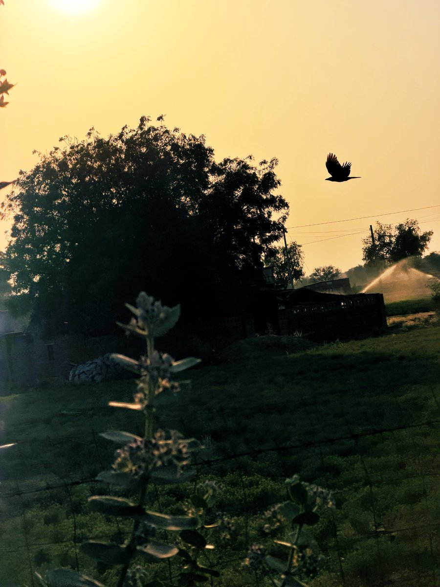 एक अकेला कितना भी दौड़े, पहला होगा!