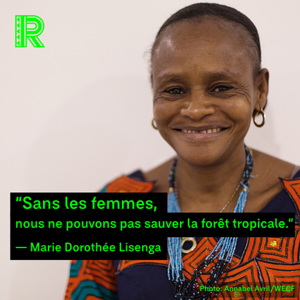 Rainforest Foundation Norway DRC tweet media