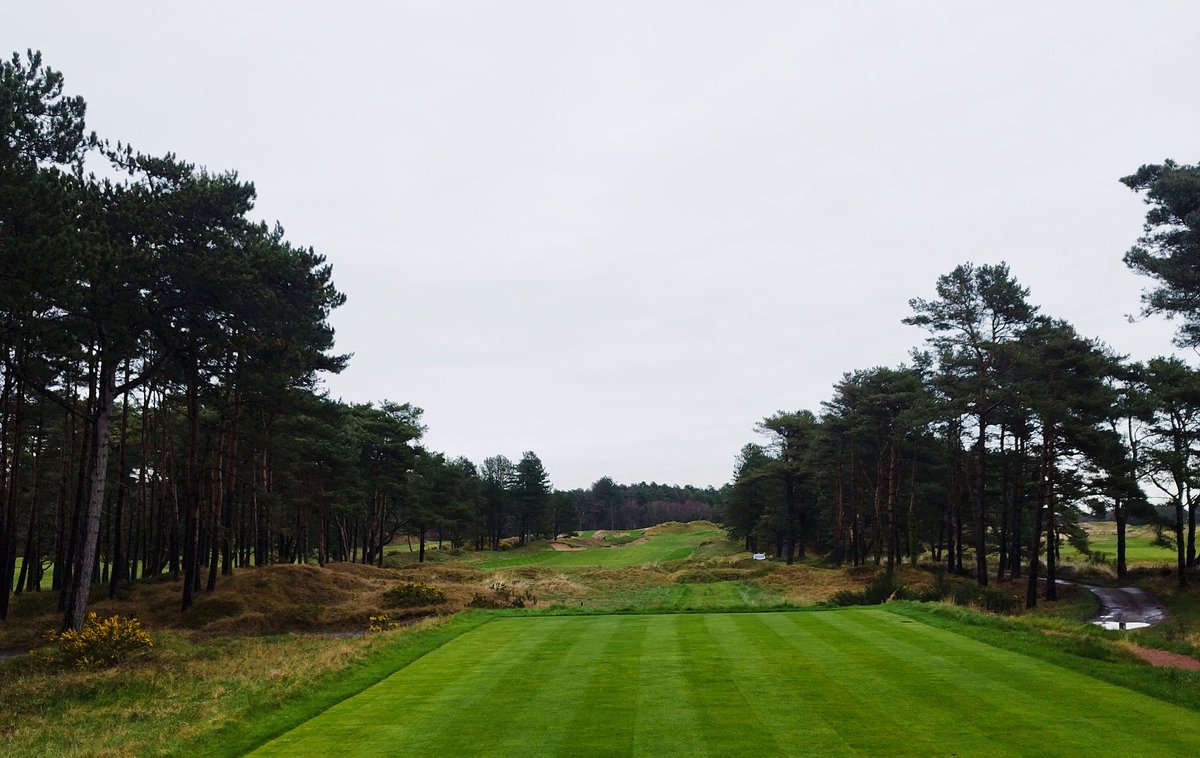 Chris Cardinal tweet media