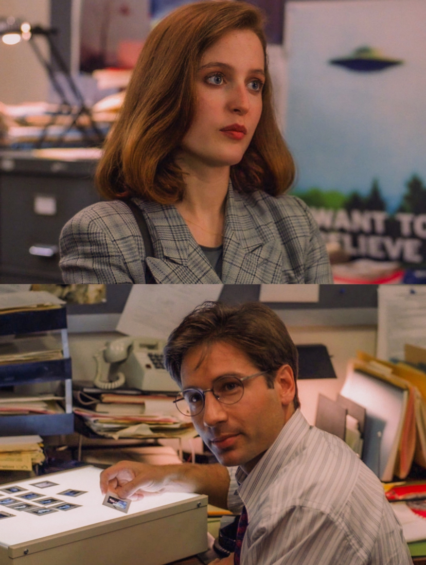 Fern Delavan tweet media