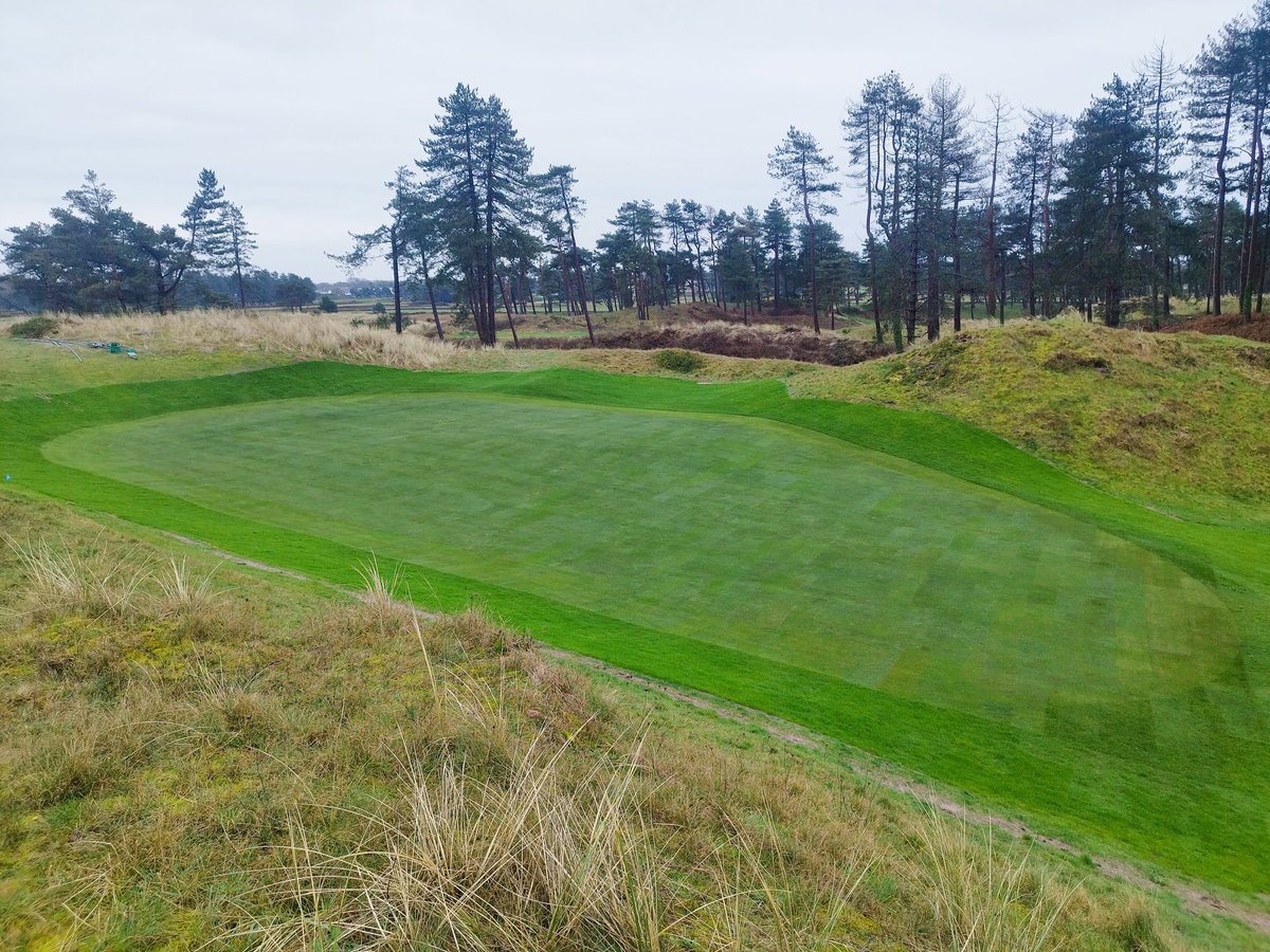 Chris Cardinal tweet media