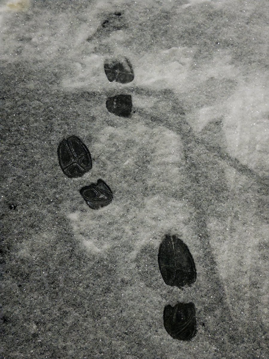 example233 tweet media