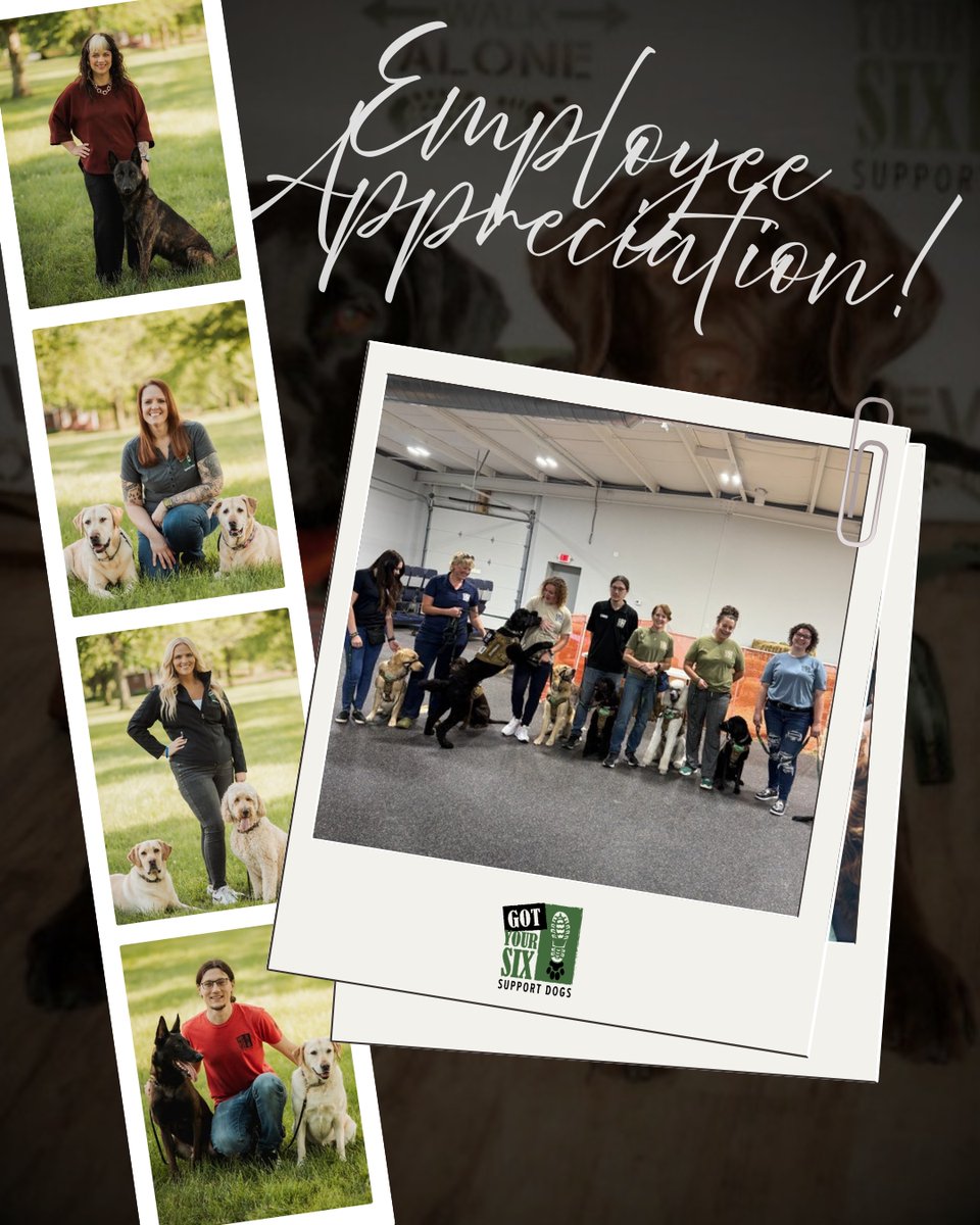 Got Your Six Dogs tweet media