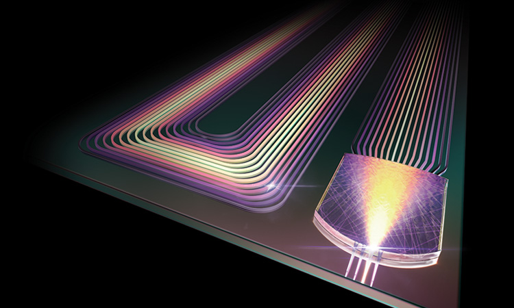 Frenchie tweet media