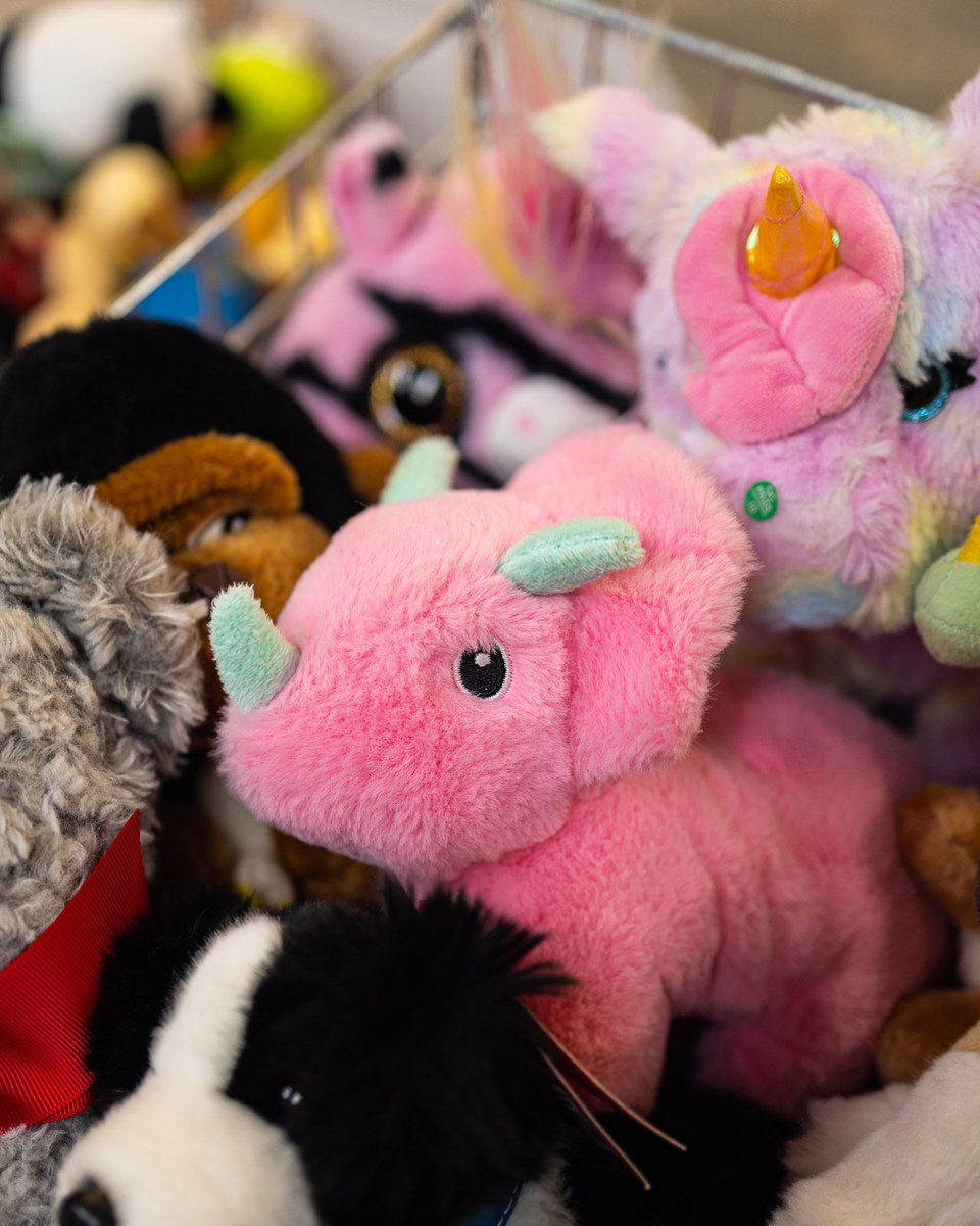 ToyBox Project tweet media