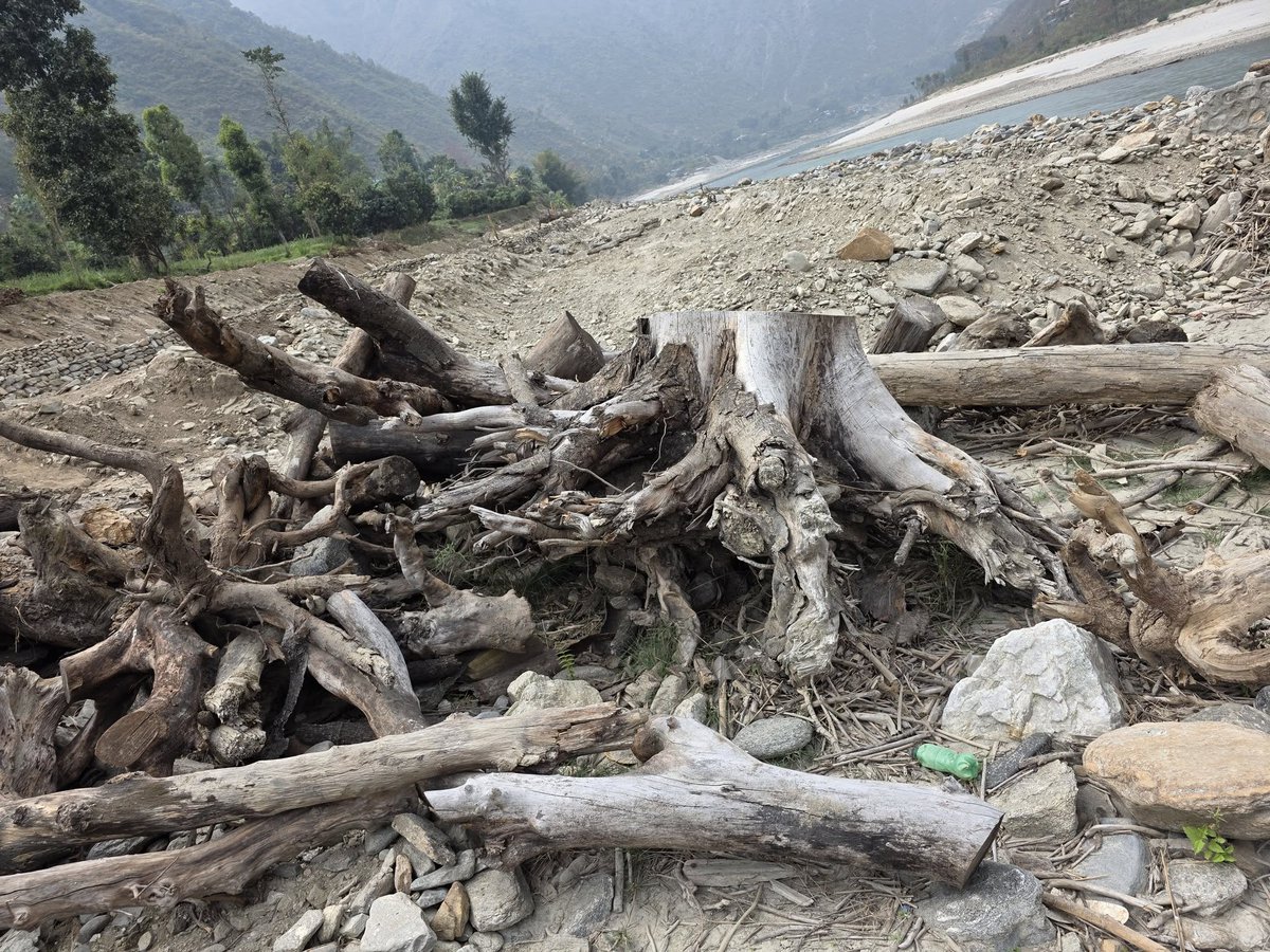 Rajesh Rai tweet media