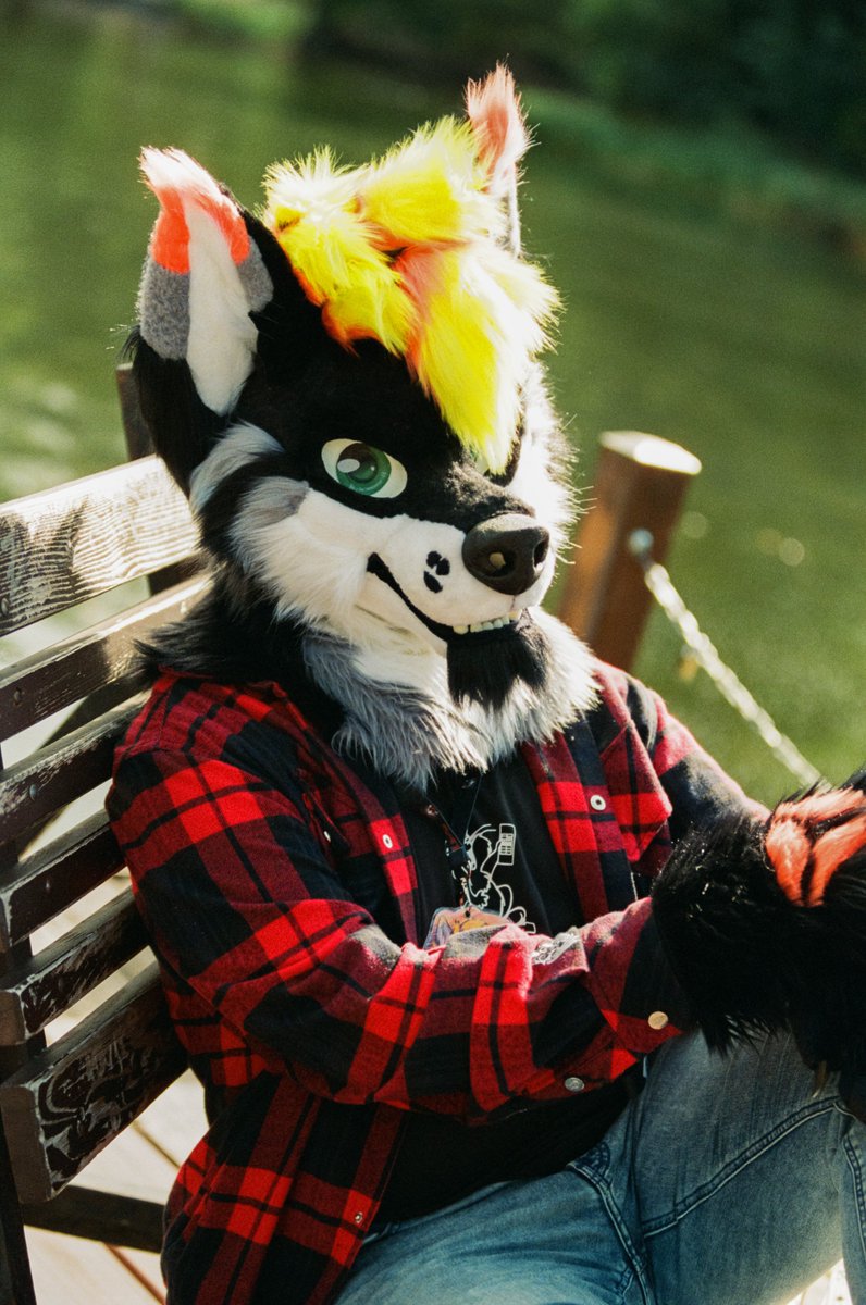 WolfJack75's tweet photo. Come sit with me by the lake for a bit 🏞️🌿
Nothing like fresh air and sunshine on a beautiful #FursuitFriday
✂️@RatNest13
📷@skatefolfderg 
#furry #fursuit #furrycommunity #furryfandom https://t.co/mAFQHP0lAN