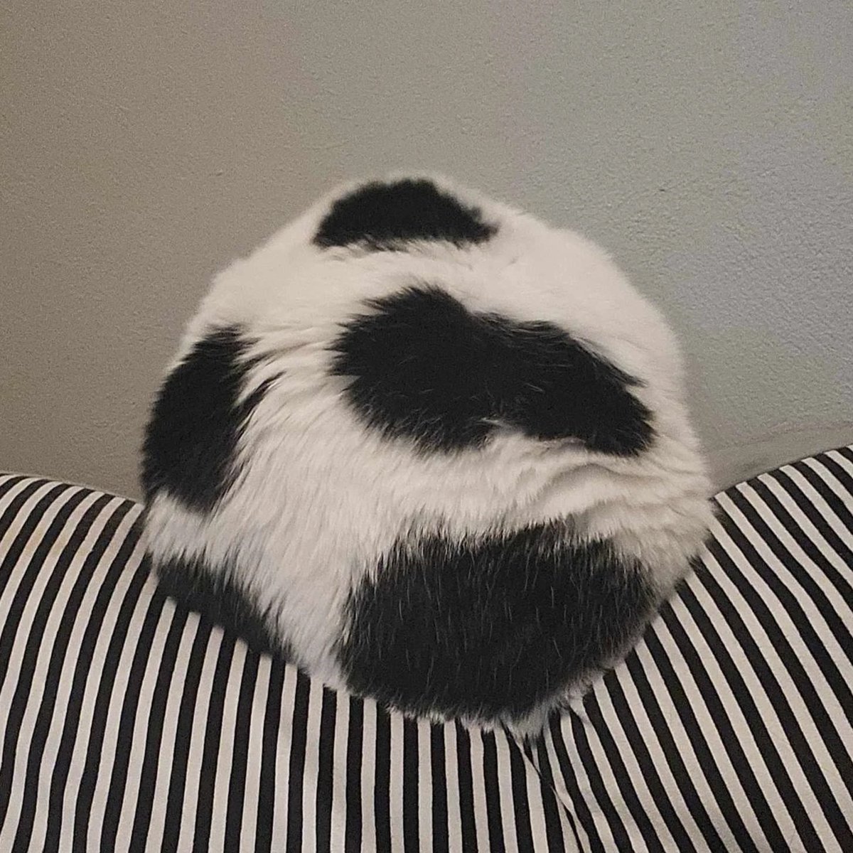 (pee pee pingling)² tweet media