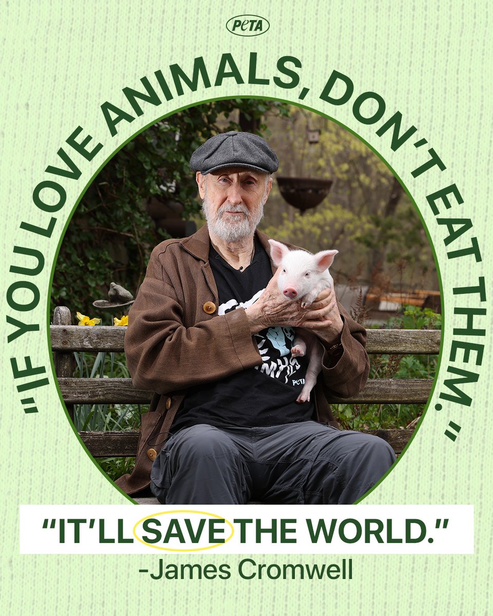 Zac162@yahoo.com tweet media