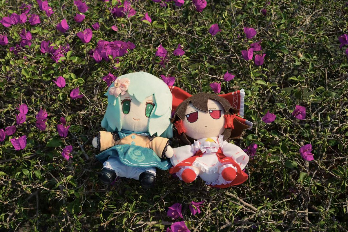 Akira-fumoharvester tweet media