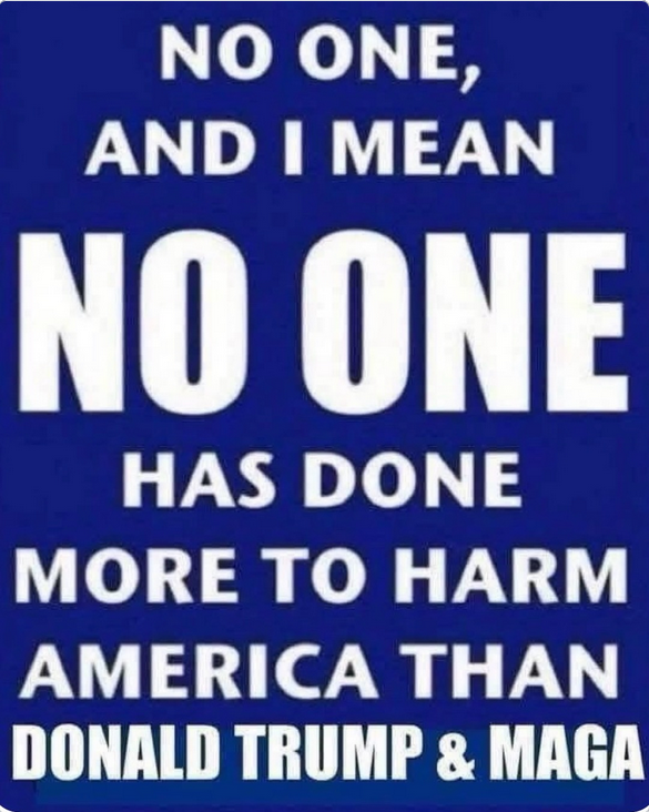 Lady Mary One of tofu-eating wokerati 💙🇪🇺 🇺🇦 tweet media