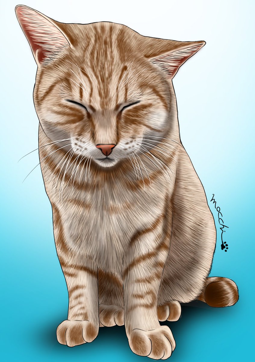 もっち（mocchi） (@mocchimocchi09) / Posts / X