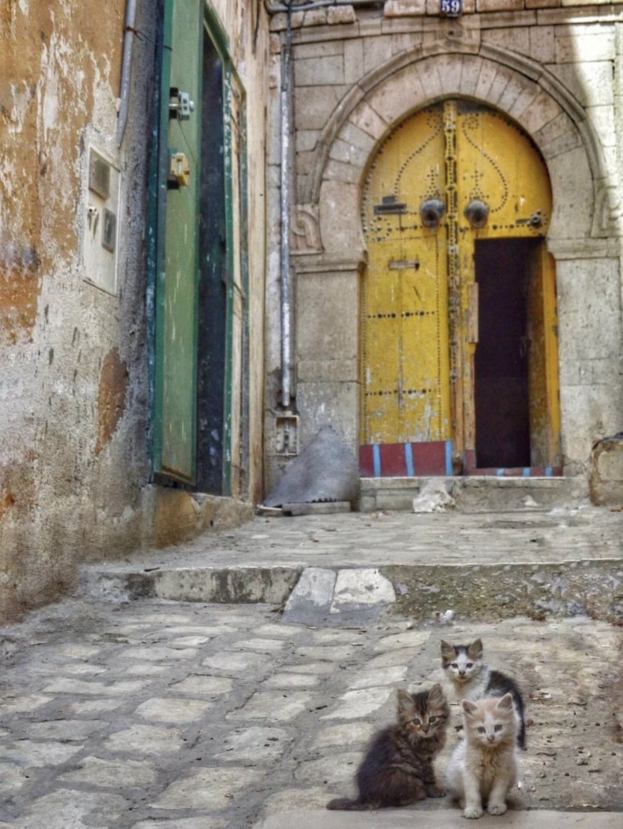 Pomeryan tweet media