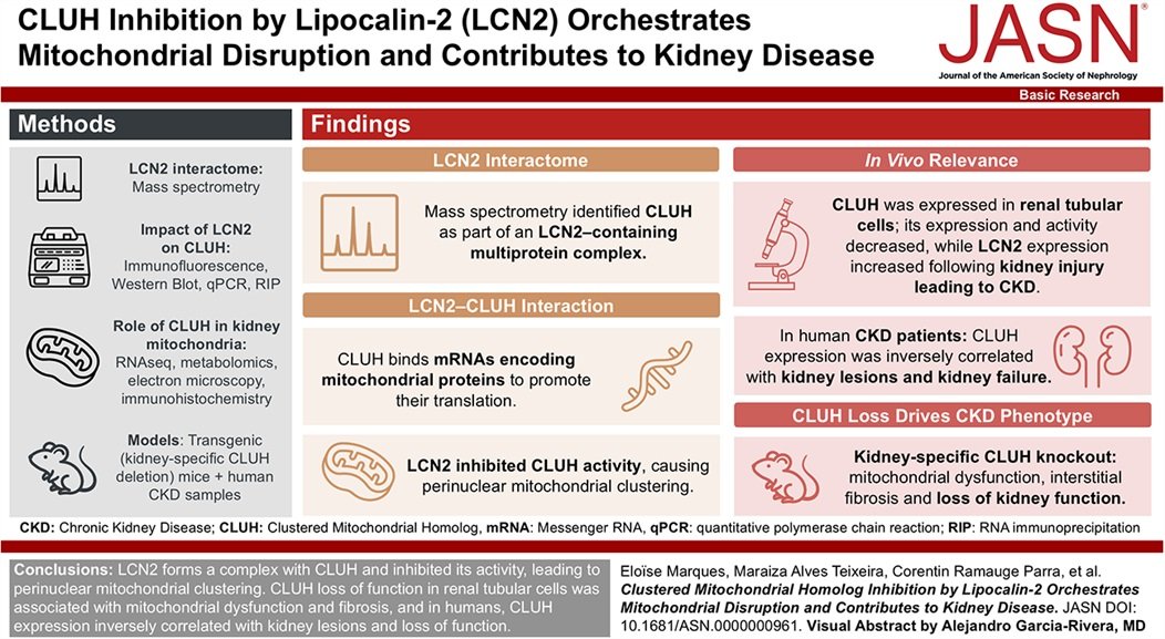 ASN Publications tweet media