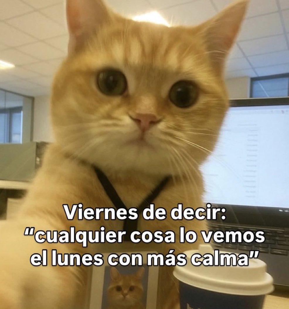 Salvador Iglesias Jr (@javisness) on Twitter photo 