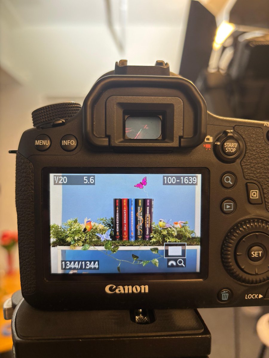 The Hunger Games Books tweet media