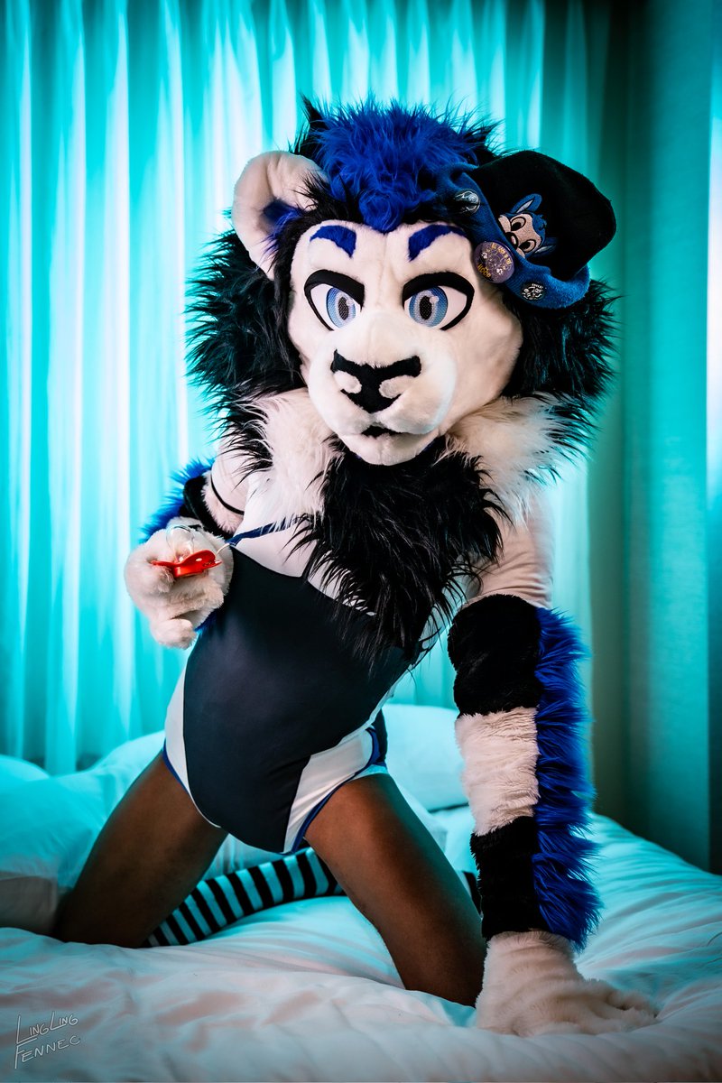 🦁 Lewd Lion/Pup Zerbert🐶 tweet media
