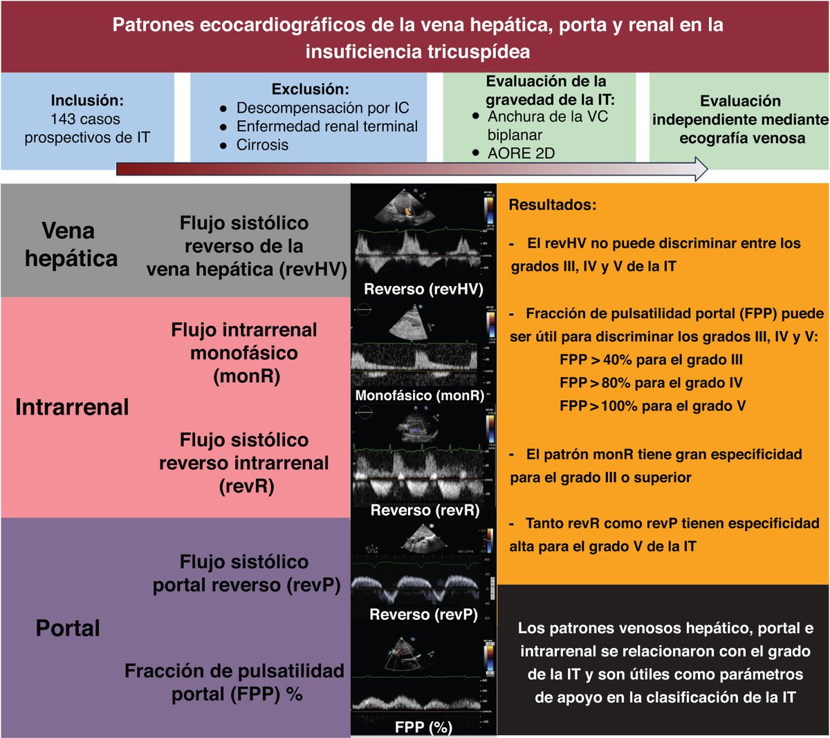 REC Publications tweet media