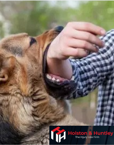 Holston & Huntley tweet media