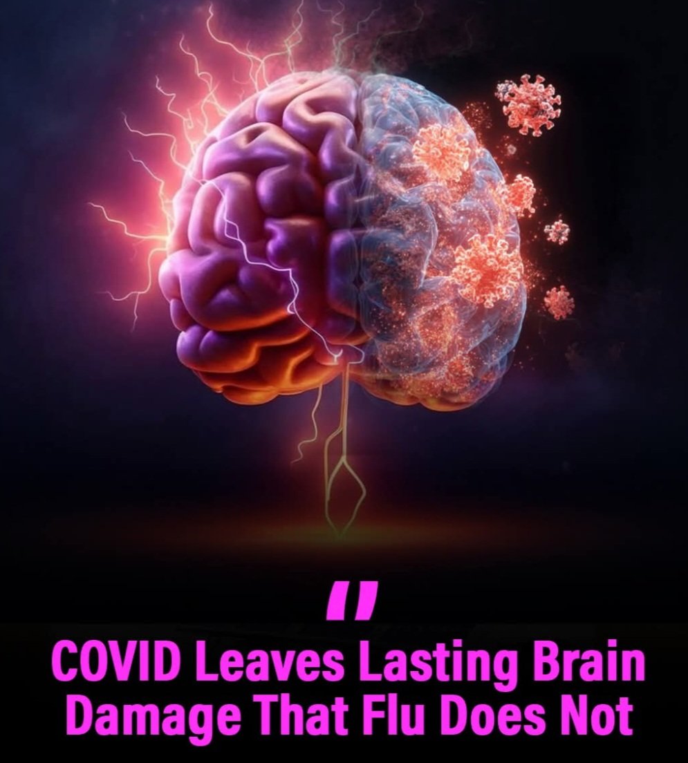 _Kun3_0's tweet photo. "A new study compared the brains of people who recovered from COVID-19 with those who recovered from influenza. The difference was alarming. COVID patients showed significant and persistent inflammation in brain regions responsible for memory and cognition. Flu patients did not." https://t.co/ZxrT1TdlZs