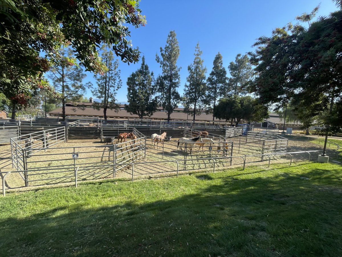 Bureau of Land Management California tweet media