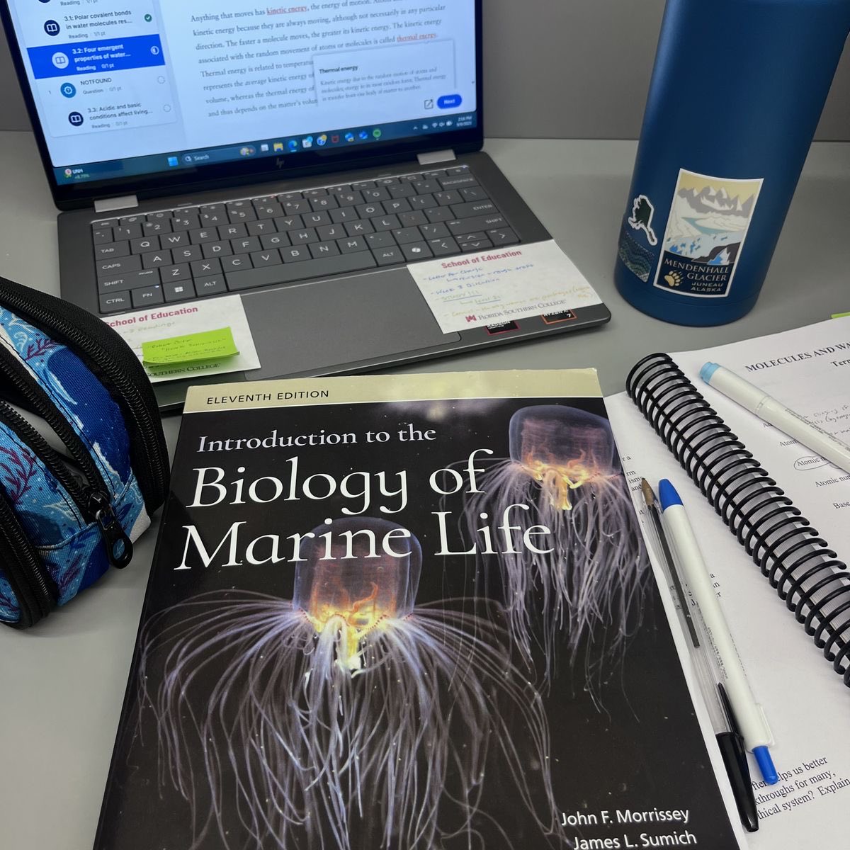 thi .✦ ݁˖ tweet media