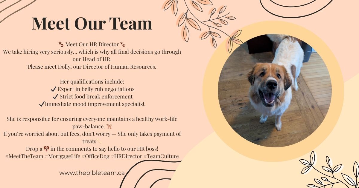 amanda_bible's tweet image. Happy Friday! We would like to introduce you to our team.
#fridayfunny #officedogs #mortgages