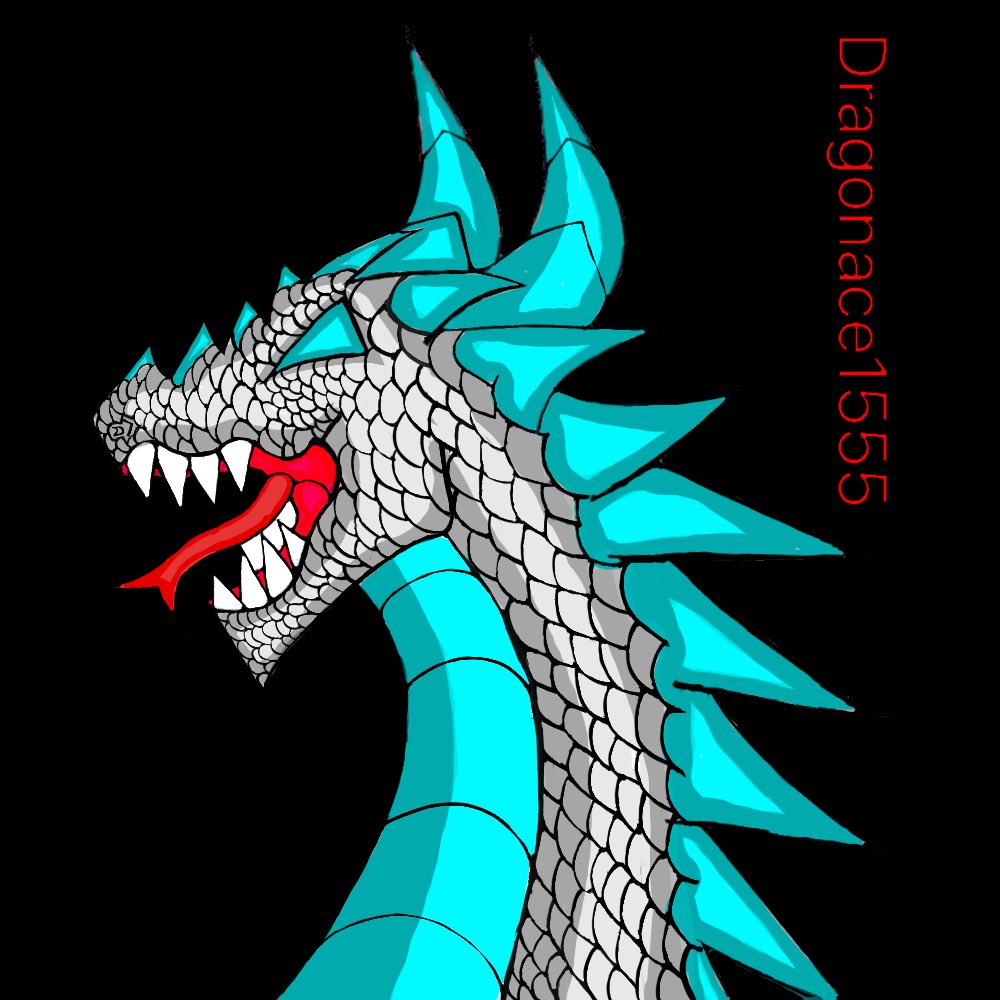 🐉Dragonace1555🐉 tweet media