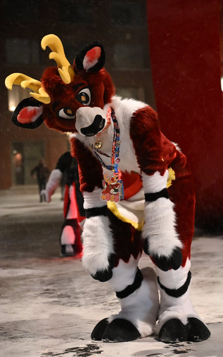 Moss🦌✨️ tweet media